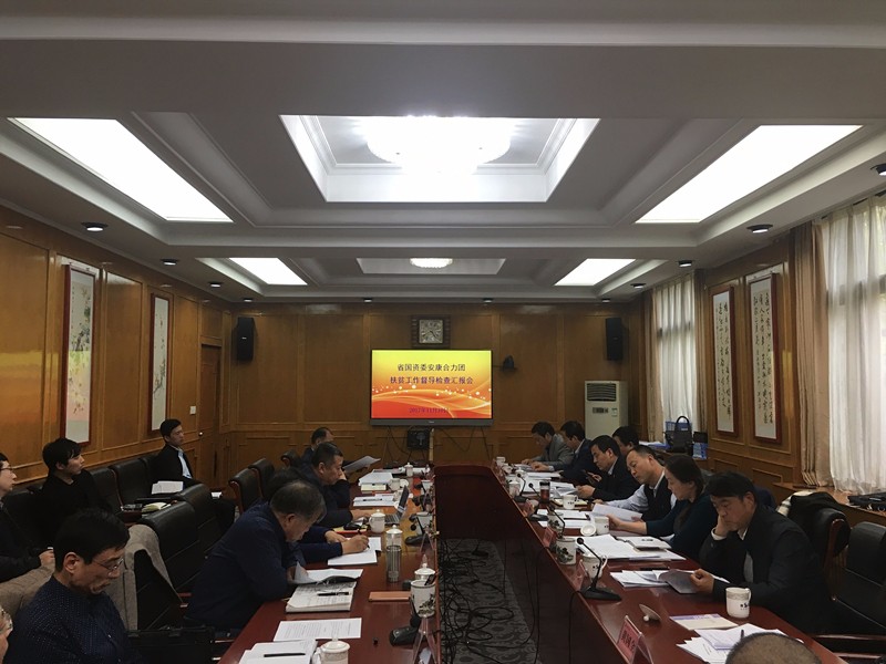 lewin乐玩官网集团参与省国资委安康合力团扶贫工作督导查抄汇报会