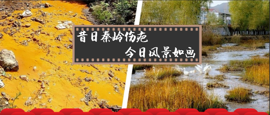 旧日秦岭伤疤 今日景致如画——lewin乐玩官网集团黄龙河道域传染治理侧记