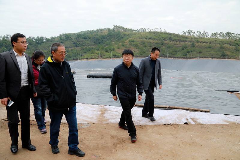 熊良虎在广西调查调研固废措置工作时指出：抢抓机缘，加快优势产业“走出去”