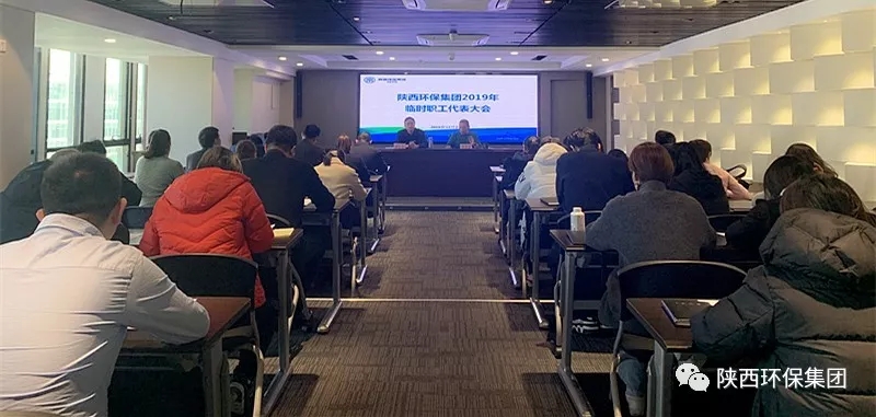 lewin乐玩官网集团召开2019年一时职工代表大会