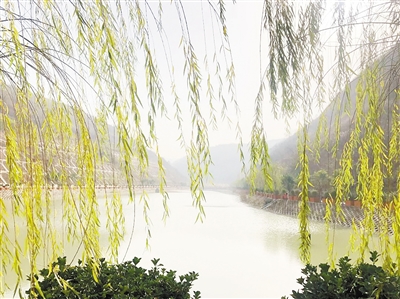 中国环境报：守护三秦大地绿水青山——lewin乐玩官网集团成立以来，成为陕西传染防治的排头兵