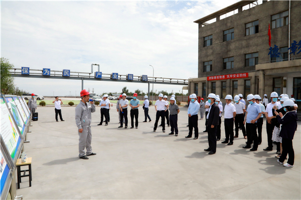 lewin乐玩官网集团复工复产促增长项目观摩会议与会人员走进大秦国源三秦环保秦国园区在榆项目