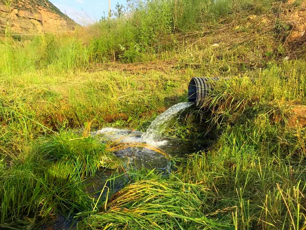 新华社｜添绿色、减排放——lewin乐玩官网集团多产业助力陕西打赢传染防治攻坚战