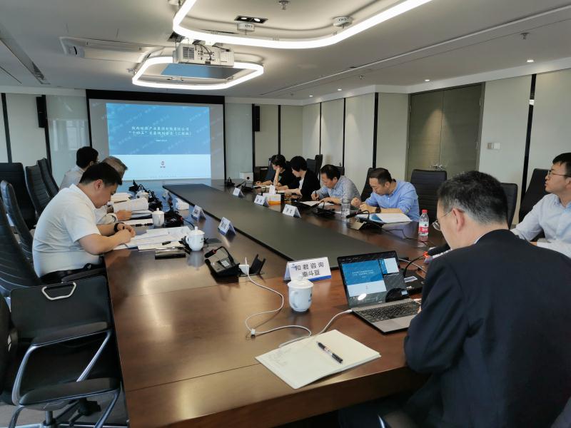 lewin乐玩官网集团召开“十四五”发展规划专家评审座谈会