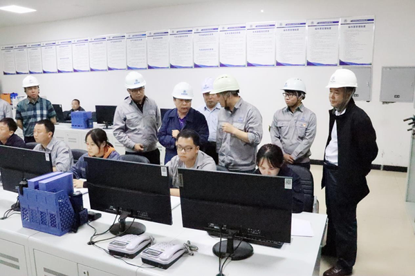 顾峰到绿色能源公司大荔生物质发电项目查抄安全防汛工作