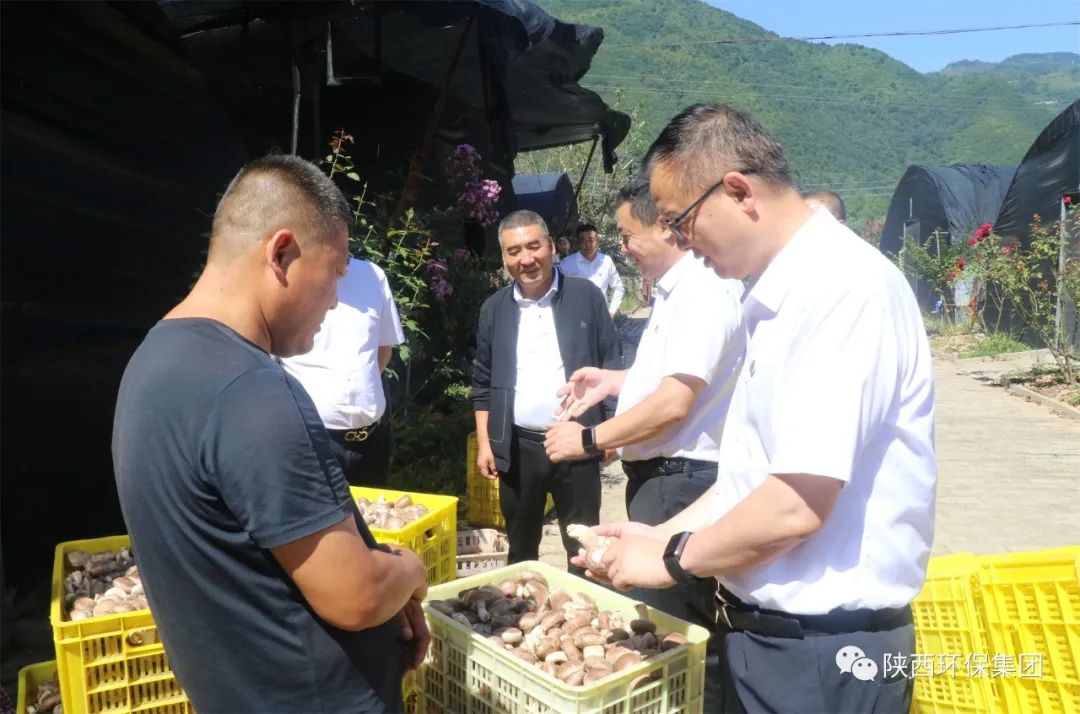 郝军亮到太白县调研村落振兴驻村助扶工作