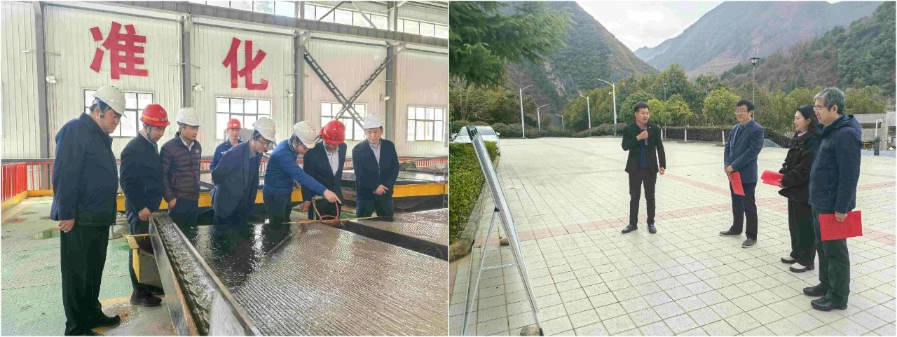 lewin乐玩官网集团表部董事赴鼎丰矿业公司、水环境公司镇安污水处置厂调研领导工作