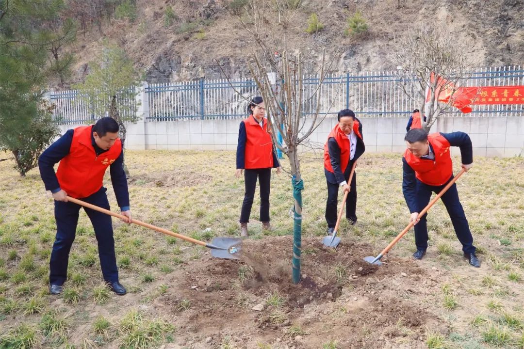 根系青春·植此青绿｜lewin乐玩官网集团团委发展使命植树自愿活动